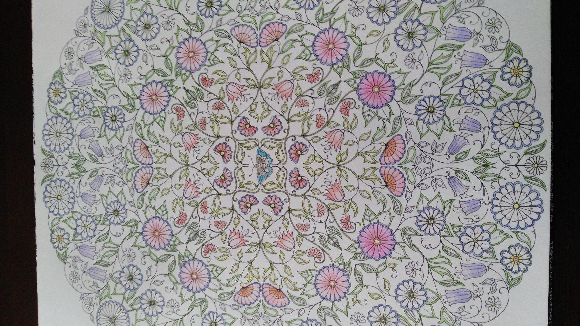 《秘密花园(散页版)》 乔汉娜61贝斯福 (johanna basford)【摘要